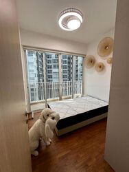 Forestville (D25), Condominium #462978481